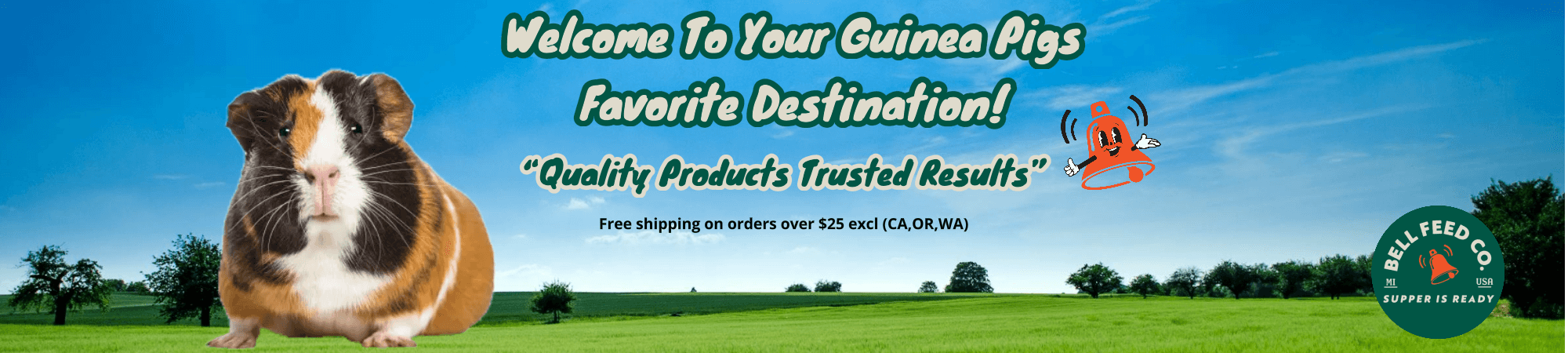 guinea pig sitting in front of a hay field for a bell feed company banner desktop version