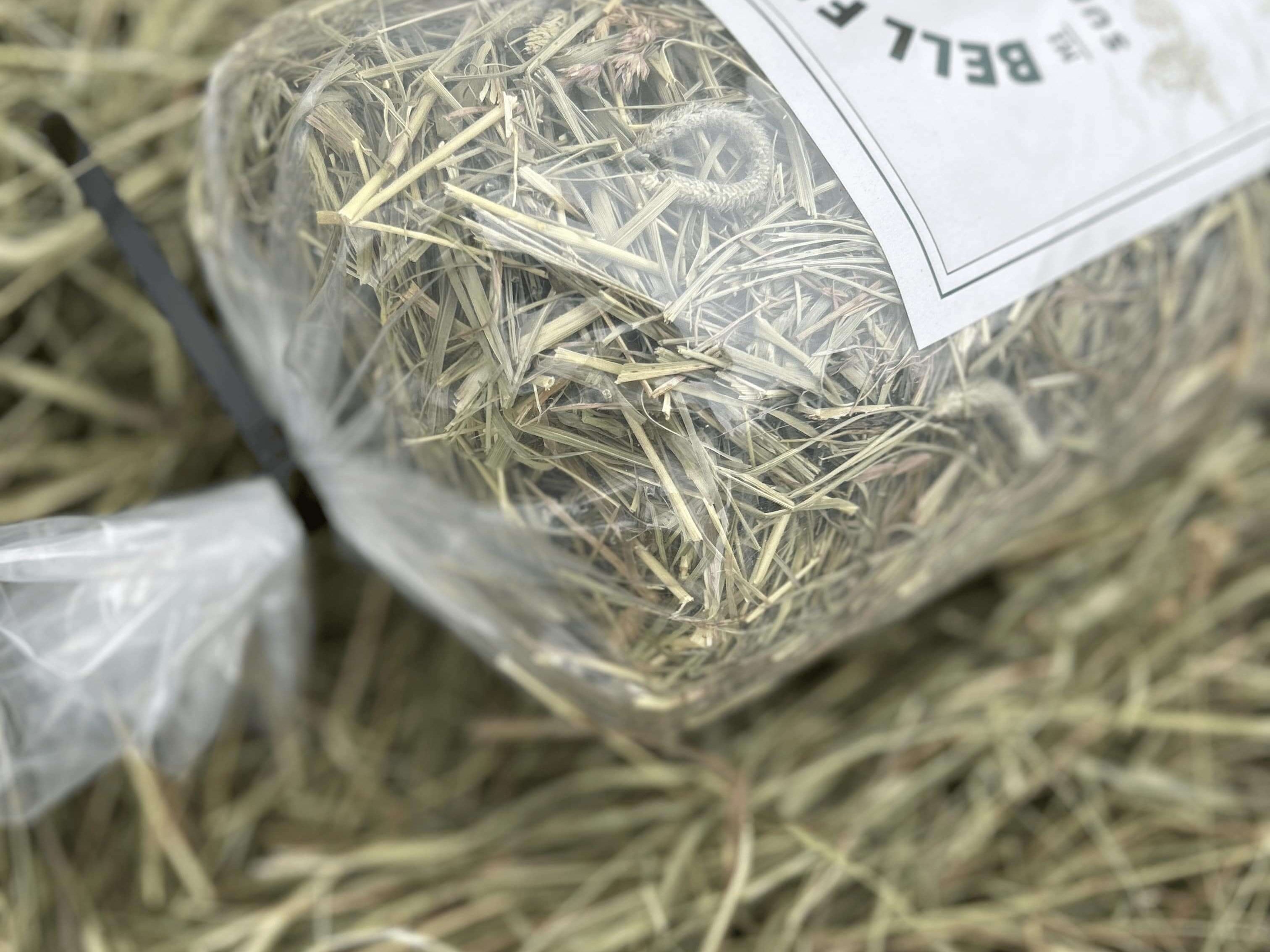 guinea pig hay in a bag top view