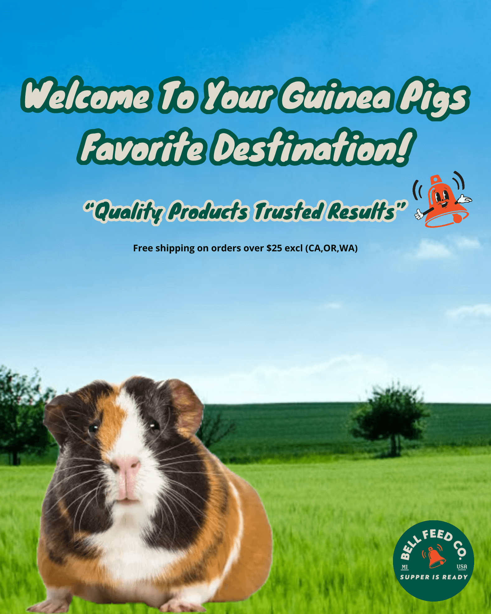 guinea pig sitting in front of a hay field for a bell feed company banner mobile version