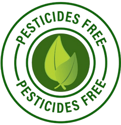 bell feed company pesticide free pet hay logo