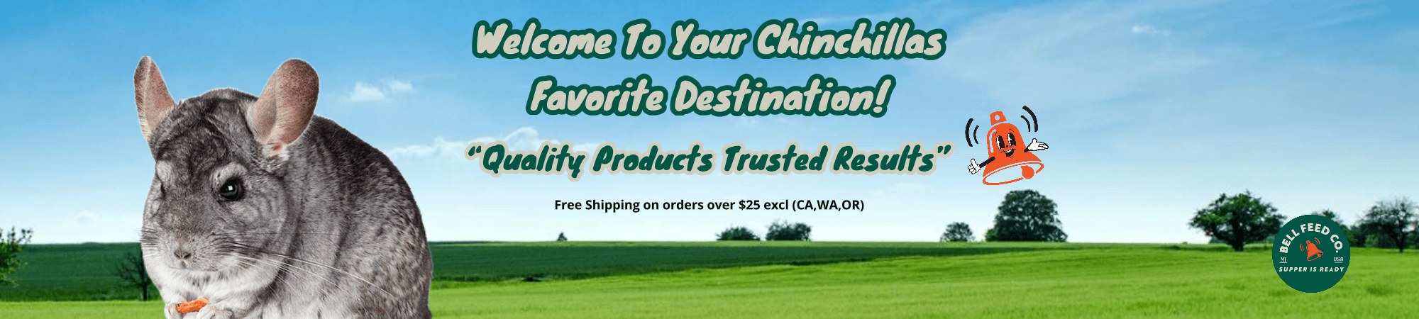 pet chinchilla sitting in front of a hay field banner desktop version