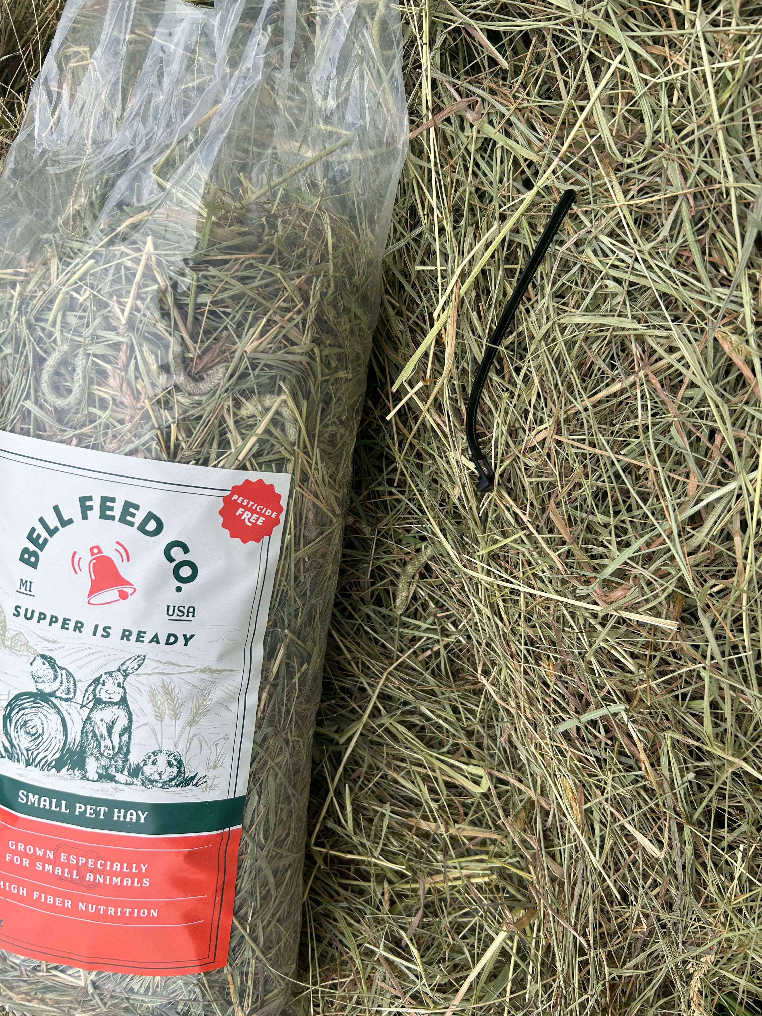 bag of fresh green timothy hay top view