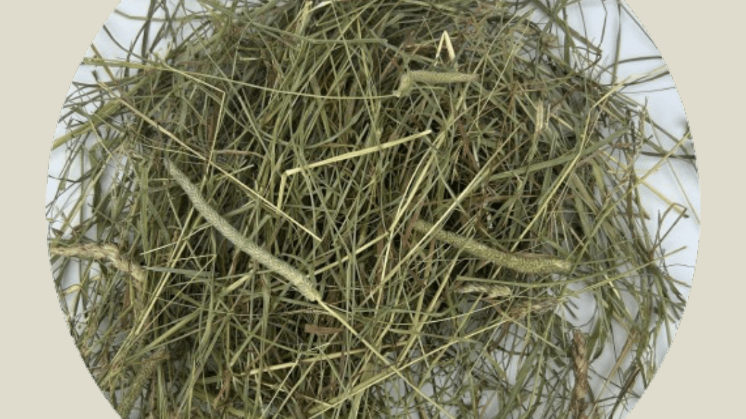 pile of guinea pig hay below a bell feed co logo 