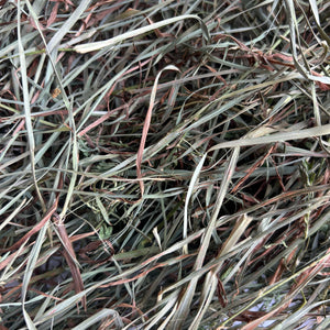 Second Cutting Timothy Hay Blend