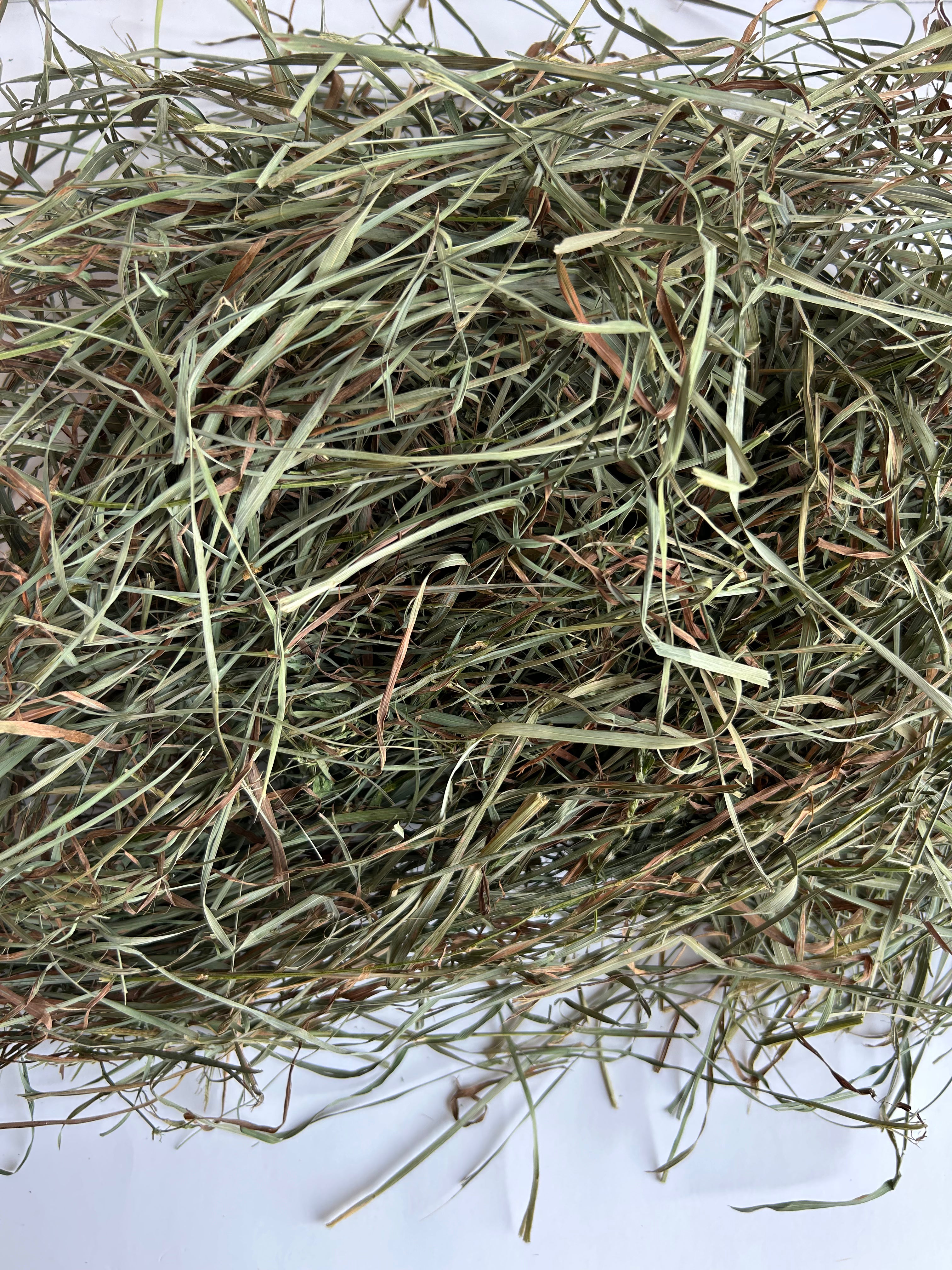 Second Cutting Timothy Hay Blend