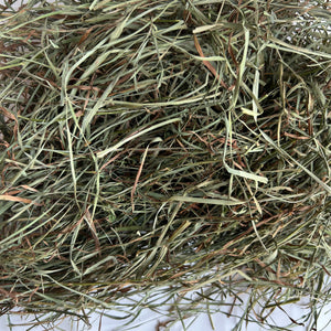 Second Cutting Timothy Hay Blend
