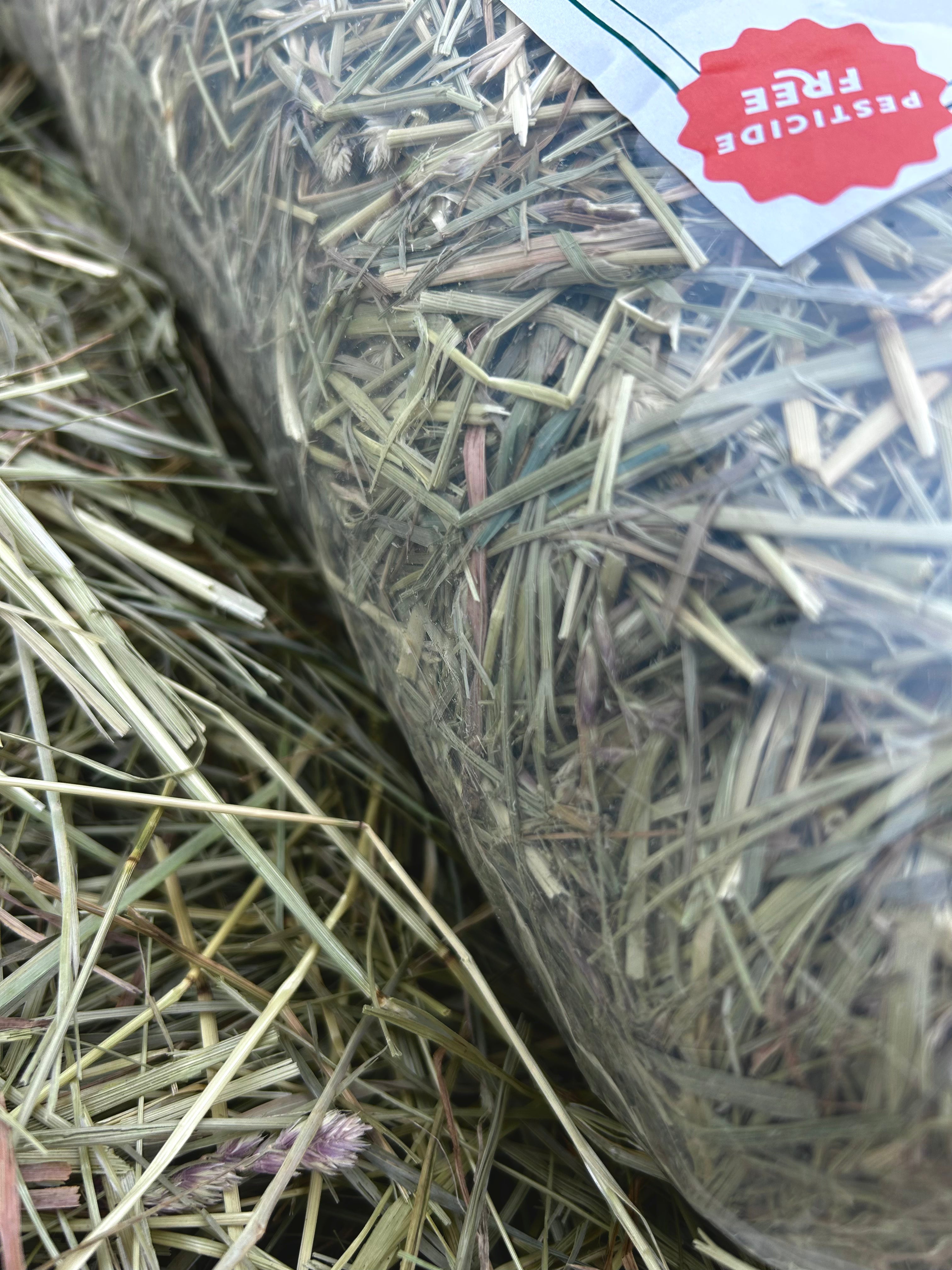 First Cutting Timothy & Orchard Grass Hay (Original Blend)