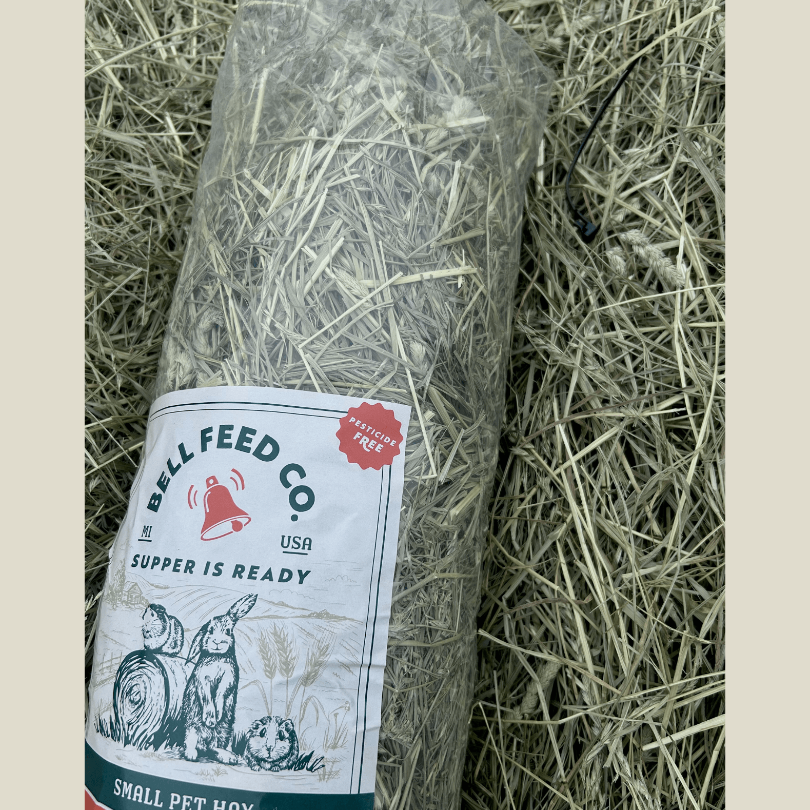 Bag of small pet hay from Bell Feed Co. on a bed of hay.