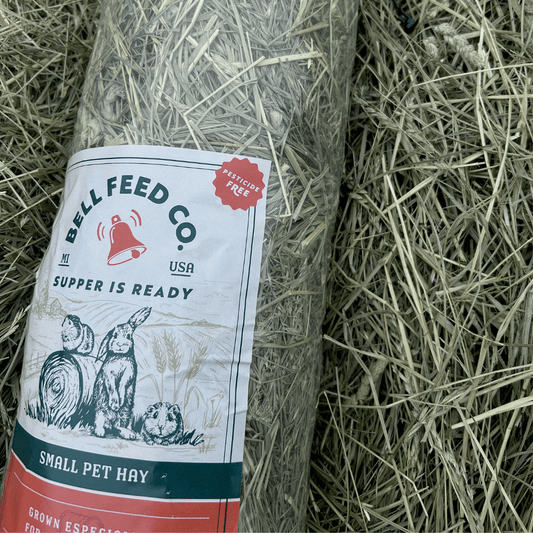 A bag of Bell Feed Co. Small Pet Hay nestled among loose dried hay.