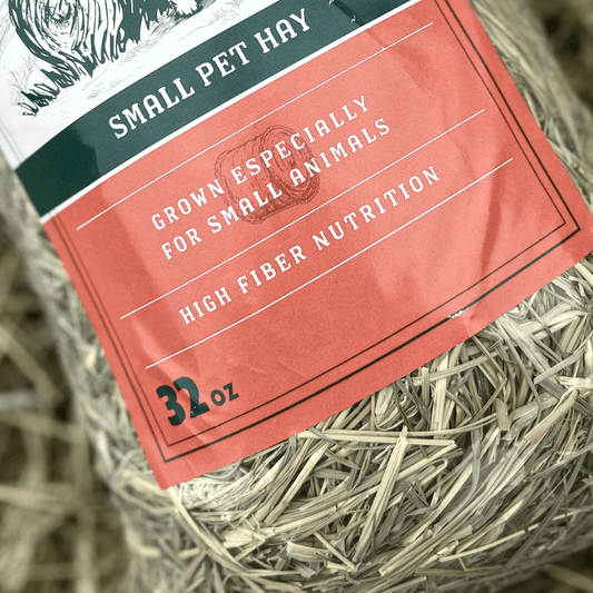 A close-up of a pet hay bundle wrapped in a coral-red and dark green paper label that reads 'SMALL PET HAY' and '32 oz'. The hay strands are visible around the edges of the package.
