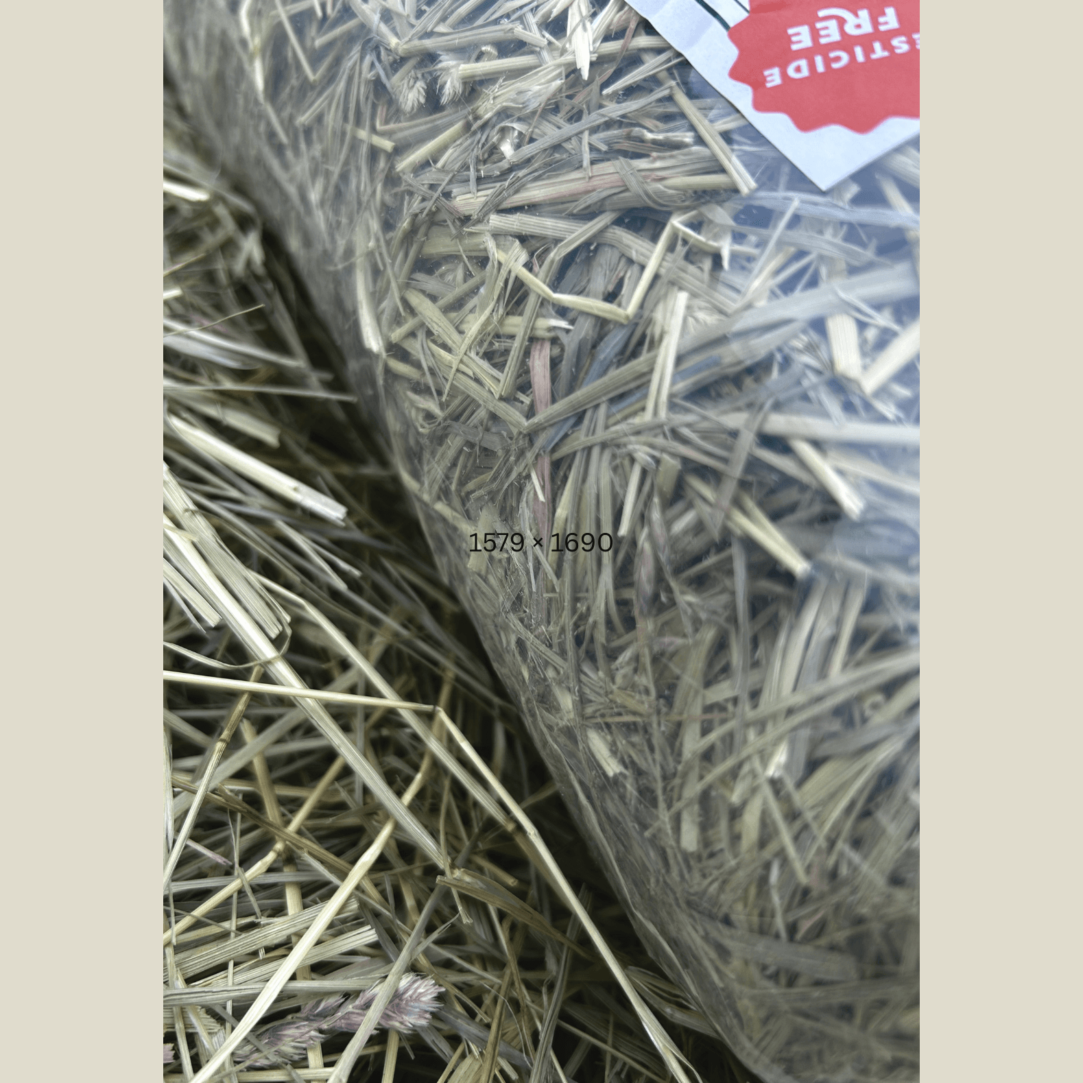 Hay in a clear plastic bag with a orange label on a beige background