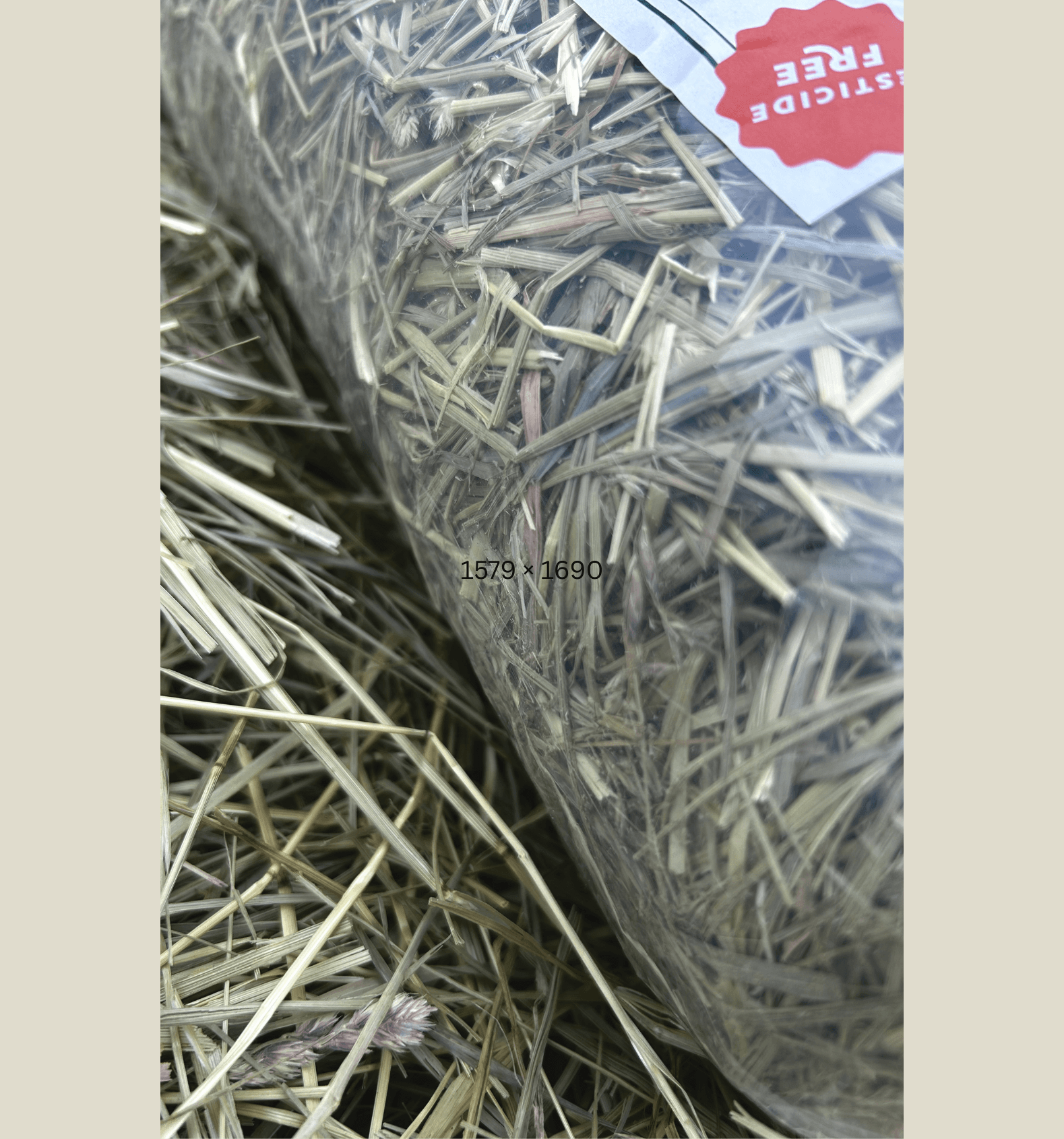 Hay in a clear plastic bag with a orange label on a beige background