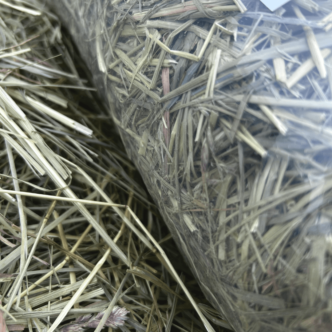 First Cutting Timothy & Orchard Grass Hay (Original Blend)