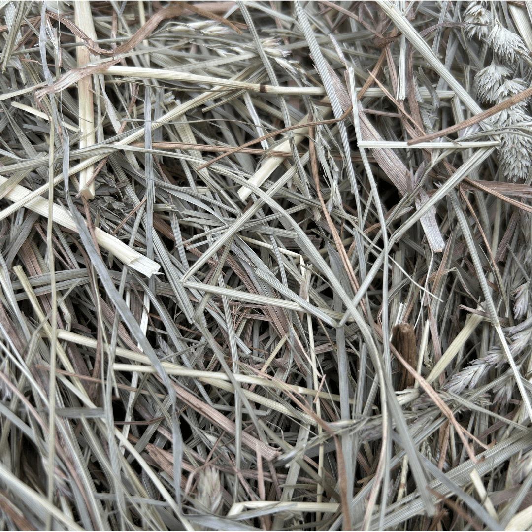 First Cutting Timothy & Orchard Grass Hay (Original Blend)