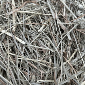 First Cutting Timothy & Orchard Grass Hay (Original Blend)