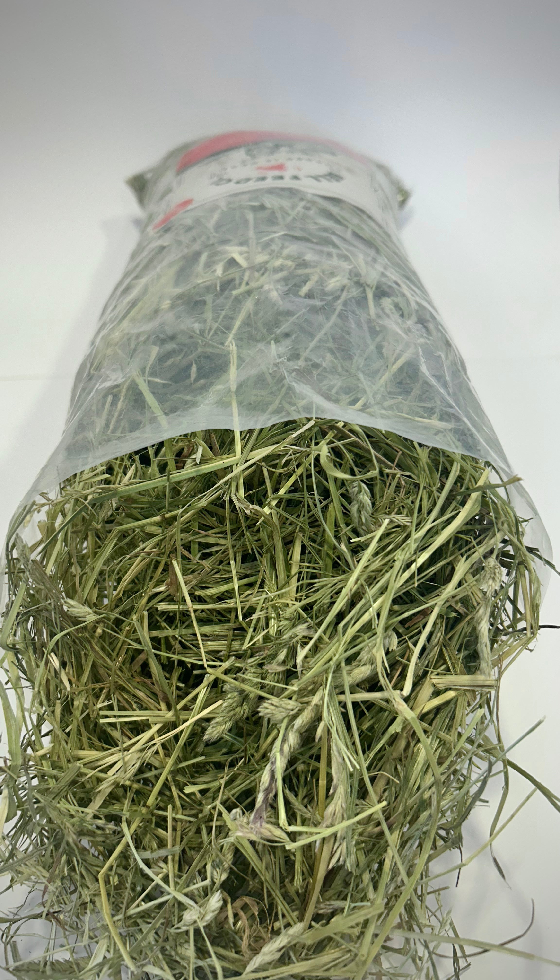 Orchard Grass Small Pet Hay