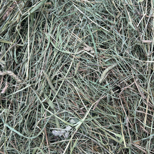First Cutting Timothy Mix Hay Blend (New Custom Blend)